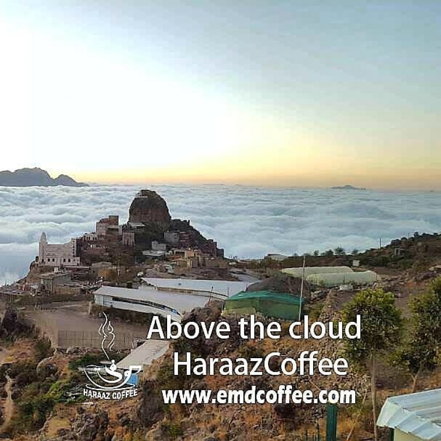 Above The Cloud HaraazCoffee